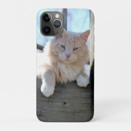 Capa Para iPhone 11 Pro Gato