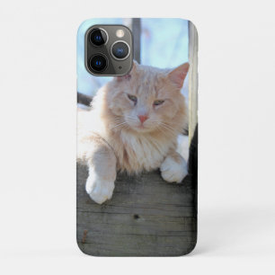 Capa Para iPhone 11 Pro Gato
