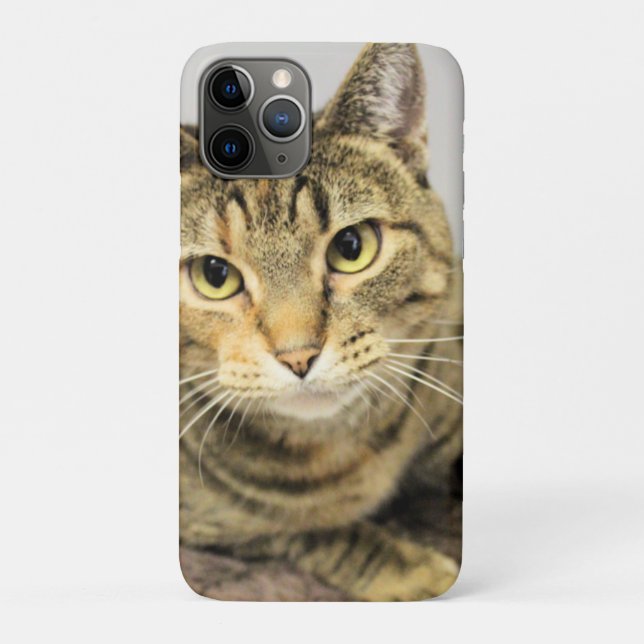 Capa Para iPhone 11 Pro Gato (Verso)