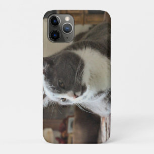 Capa Para iPhone 11 Pro Gato