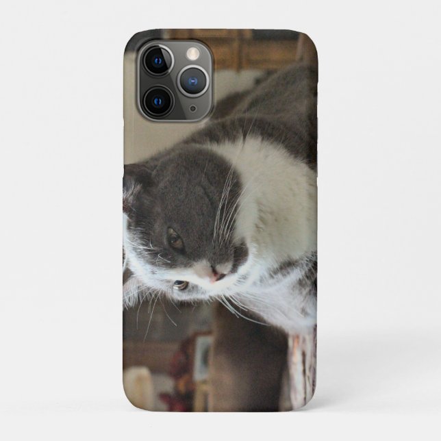 Capa Para iPhone 11 Pro Gato (Verso)