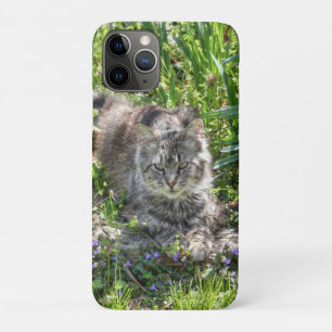Capa Para iPhone 11 Pro Gato Durante Eclipse