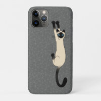 Gato Siamês Seguindo | Gato Engraçado