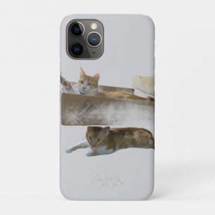 Capa Para iPhone 11 Pro Gengibre Engraçado, Imagem Personalizável E Foto,