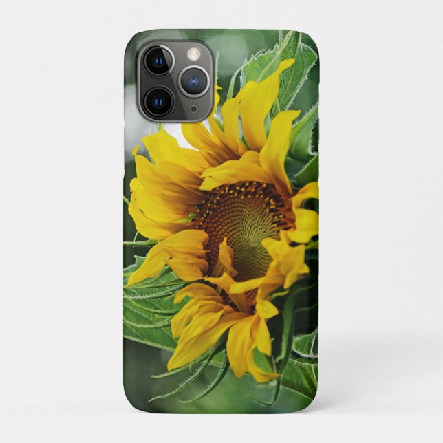 Capa Para iPhone 11 Pro Girassol (Verso)