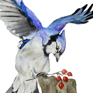 Capa Para iPhone 11 Pro Jay azul-marinho