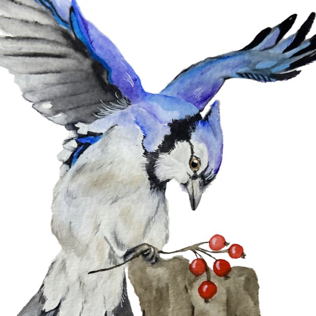 Capa Para iPhone 11 Pro Jay azul-marinho (Criador carregado)