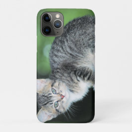 Capa Para iPhone 11 Pro Kitten