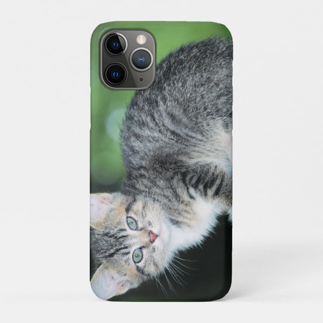 Capa Para iPhone 11 Pro Kitten (Verso)