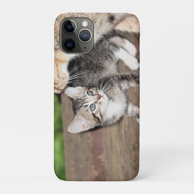 Capa Para iPhone 11 Pro Kitten (Verso)