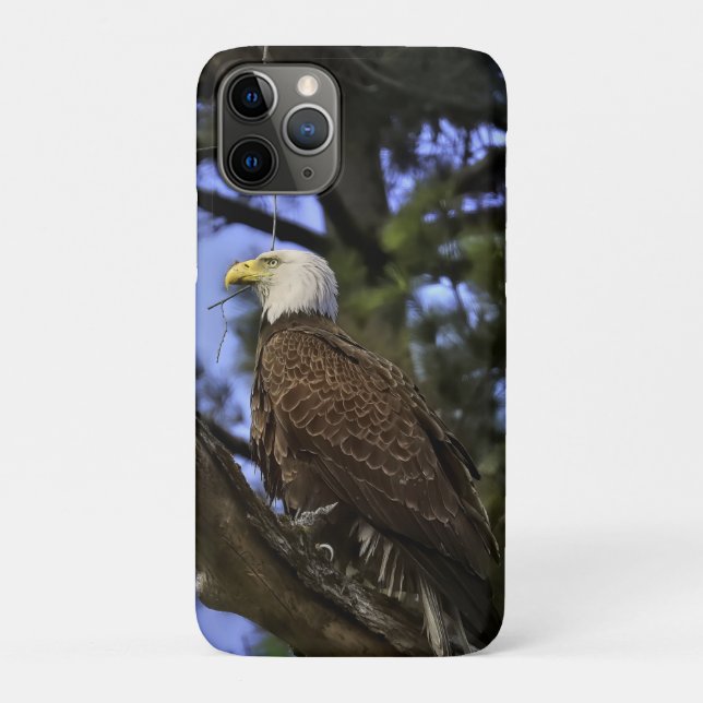 Capa Para iPhone 11 Pro Mature Bald Eagle (Verso)