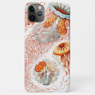 Capa Para iPhone 11 Pro Max Água-viva, Desconto de Ernst Haeckel