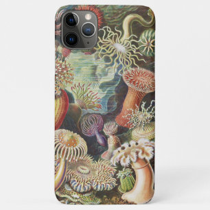 Capa Para iPhone 11 Pro Max Anêmonas-do-mar, Actiniae Seeanemonen Ernst Haecke