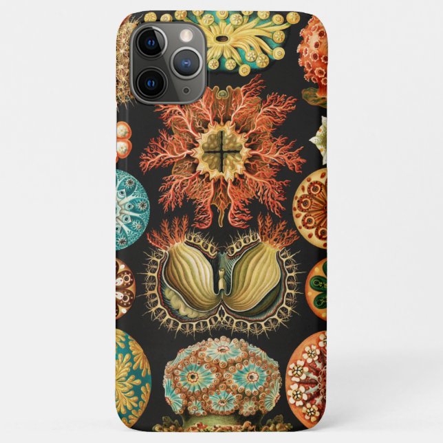 Capa Para iPhone 11 Pro Max Ascidiae, Seescheiden Marine Life por Ernst Haecke (Verso)