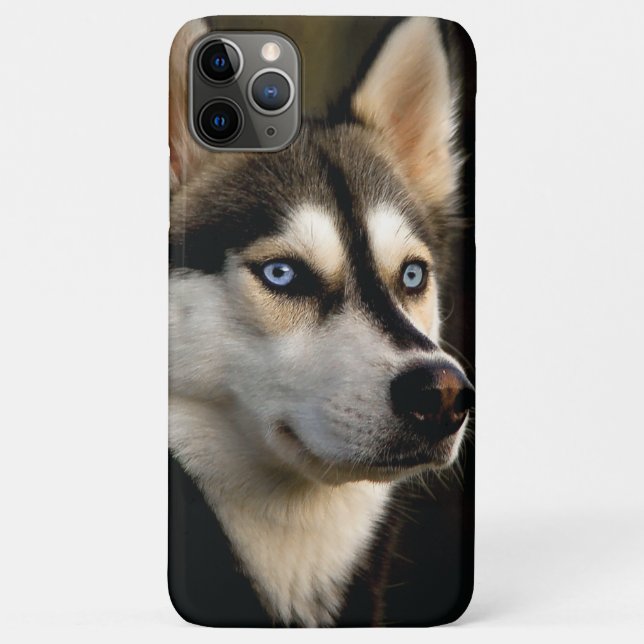 Capa Para iPhone 11 Pro Max Beautiful Husky Throw Pillow (Verso)