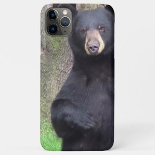 Capa Para iPhone 11 Pro Max Belo Urso Negro