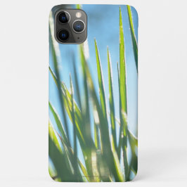 Capa Para iPhone 11 Pro Max Blades Sunlit