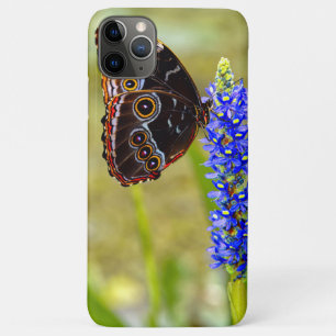 Capa Para iPhone 11 Pro Max Borboleta morfo azul em uma orquídea marsh