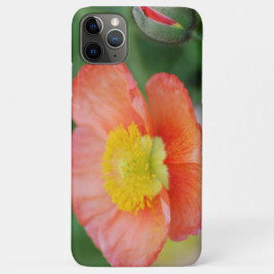 Capa Para iPhone 11 Pro Max Caixa do telefone celular do Flor Laranja