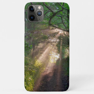 Capa Para iPhone 11 Pro Max Caminho da Floresta