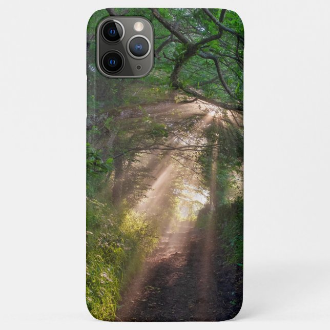 Capa Para iPhone 11 Pro Max Caminho da Floresta (Verso)