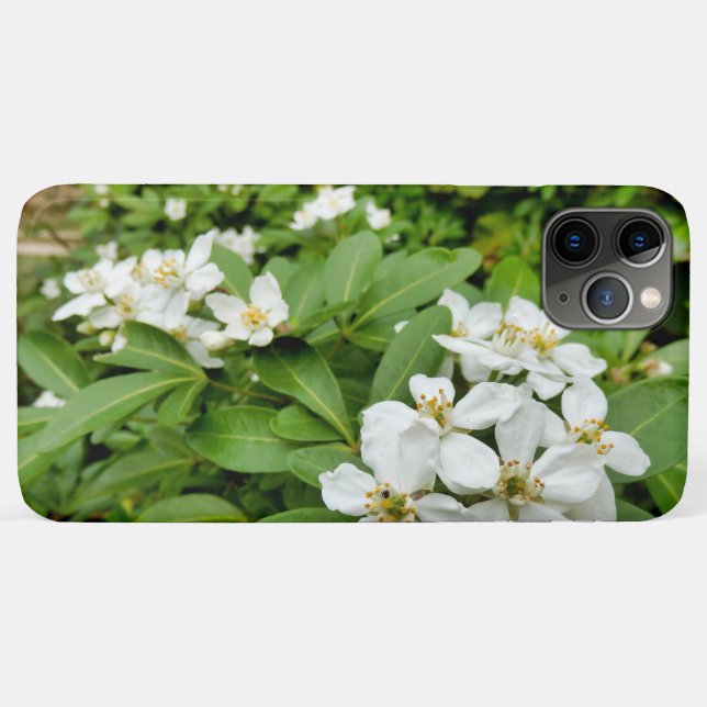 Capa Para iPhone 11 Pro Max Choisya Ternata (Verso (horizontal))