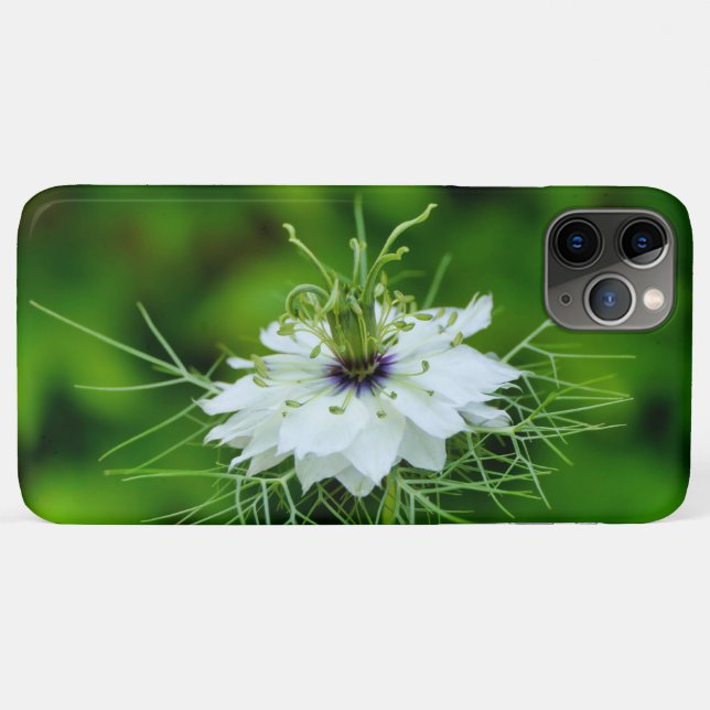 Capa Para iPhone 11 Pro Max Cornflower (Verso (horizontal))