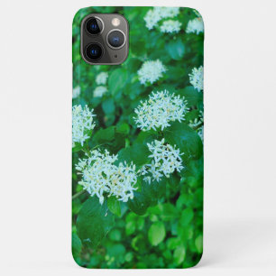 Capa Para iPhone 11 Pro Max Cornus sanguinea