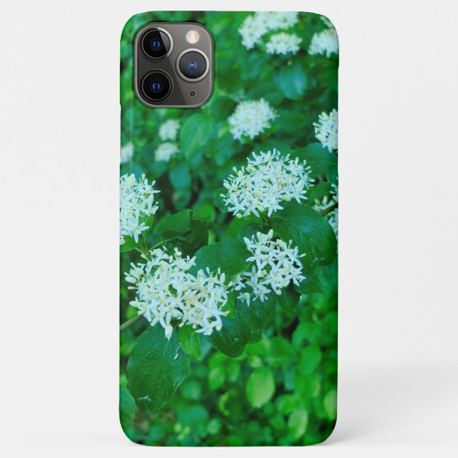 Capa Para iPhone 11 Pro Max Cornus sanguinea (Verso)