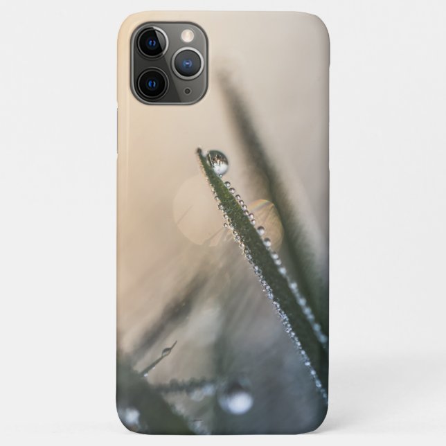 Capa Para iPhone 11 Pro Max Dew Droplet em Grass Nature Photo (Verso)