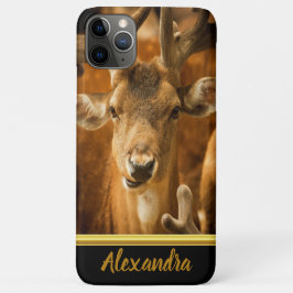 Capa Para iPhone 11 Pro Max Elk Buck olhando para você