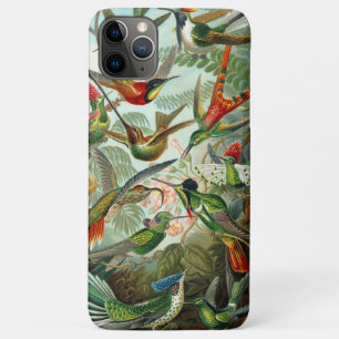 Capa Para iPhone 11 Pro Max Ernst Haeckel Gordo e vibrante Hummingbird