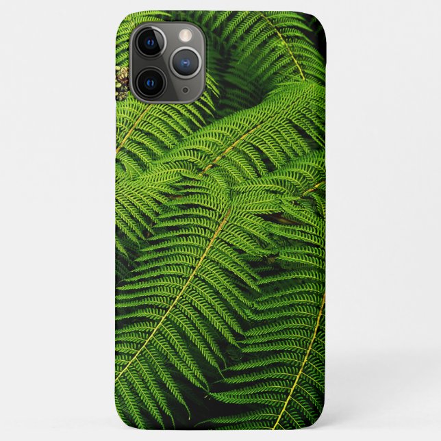 Capa Para iPhone 11 Pro Max Fern Leaves (Verso)