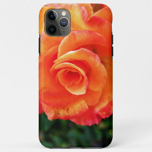Capa Para iPhone 11 Pro Max Flor de rosa laranja