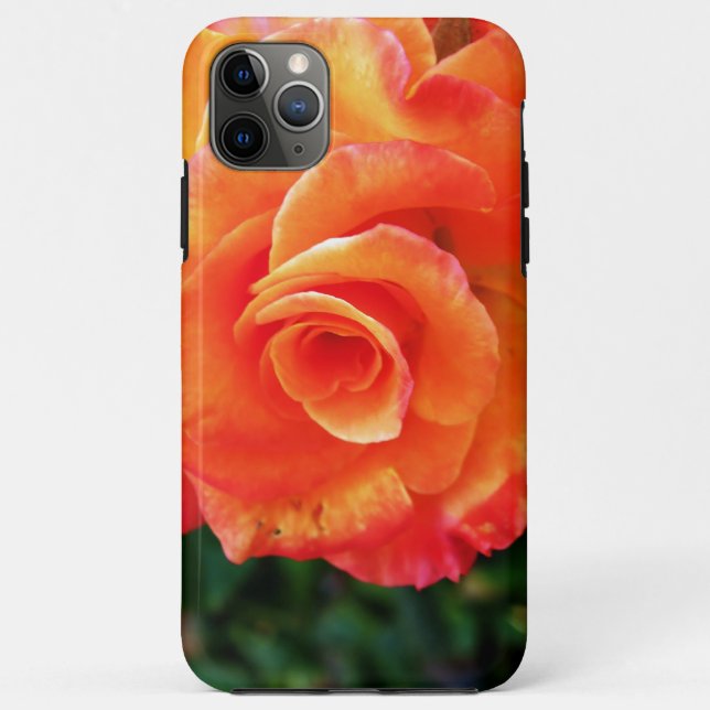 Capa Para iPhone 11 Pro Max Flor de rosa laranja (Verso)