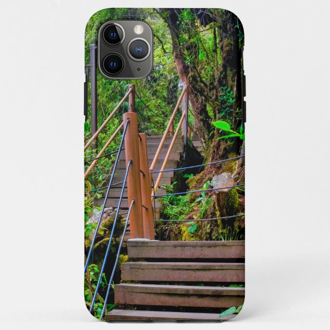 Capa Para iPhone 11 Pro Max Floresta Musgosa (Verso)
