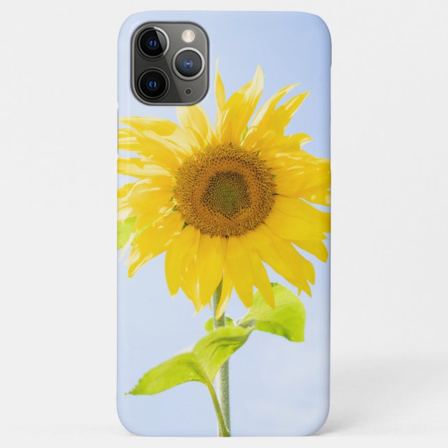 Capa Para iPhone 11 Pro Max Foto de Sunflower Nature (Verso)