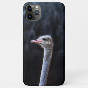 Capa Para iPhone 11 Pro Max Fotografia de Avestruz