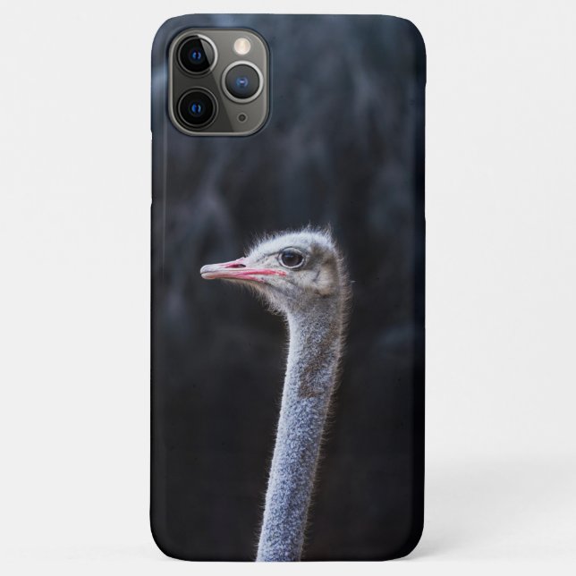 Capa Para iPhone 11 Pro Max Fotografia de Avestruz (Verso)