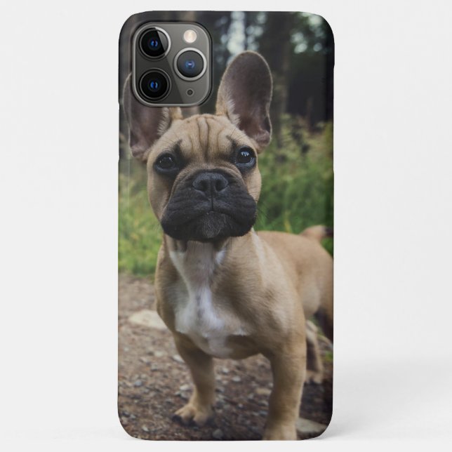 Capa Para iPhone 11 Pro Max French Bulldog Throw Pillow (Verso)