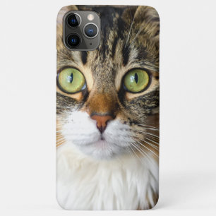 Capa Para iPhone 11 Pro Max Gato