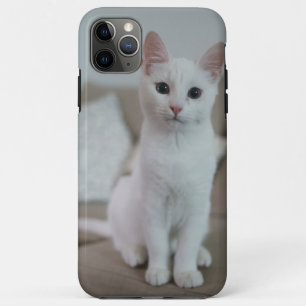 Capa Para iPhone 11 Pro Max 	 Gato Branco   Zazzle_Growth. 	
