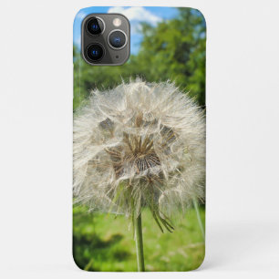 Capa Para iPhone 11 Pro Max Goatsbeard Wildflower