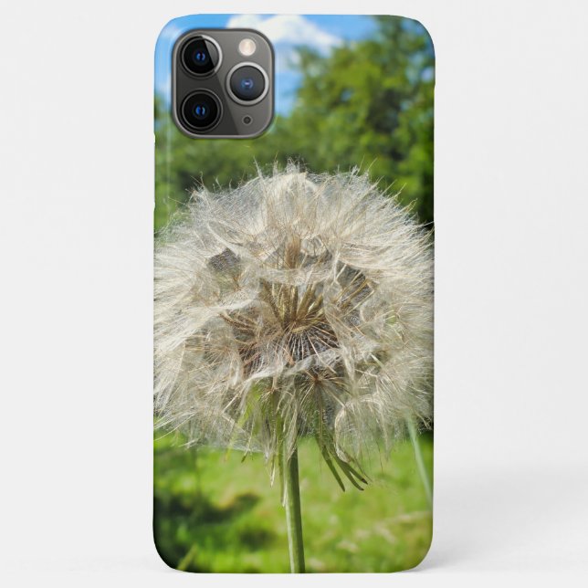 Capa Para iPhone 11 Pro Max Goatsbeard Wildflower (Verso)