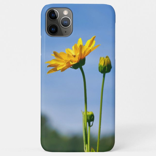 Capa Para iPhone 11 Pro Max Helênio de margarida amarela (Verso)