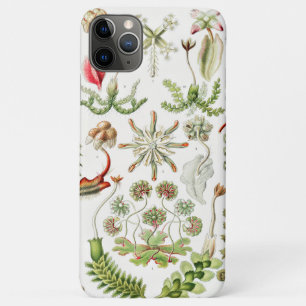 Capa Para iPhone 11 Pro Max Hepaticae Lebermoose por Ernst Haeckel