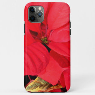 Capa Para iPhone 11 Pro Max Holly Point Poinsettias Holiday Floral