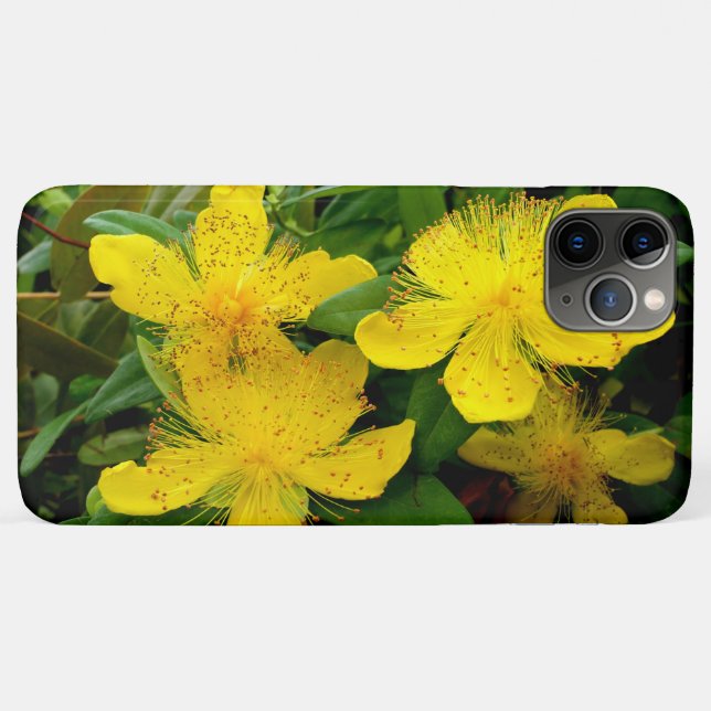 Capa Para iPhone 11 Pro Max Hypericum calycinum (Verso (horizontal))