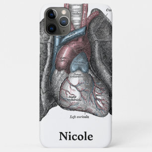 Capa Para iPhone 11 Pro Max Ilustração Vintage Cinza Anatomia Pulmões Cardíaco
