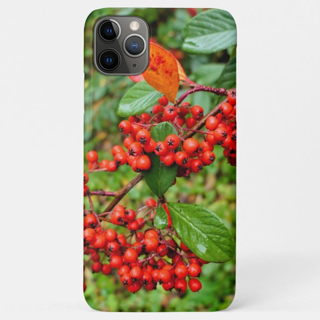 Capa Para iPhone 11 Pro Max Lagteus de Cotonou (Verso)